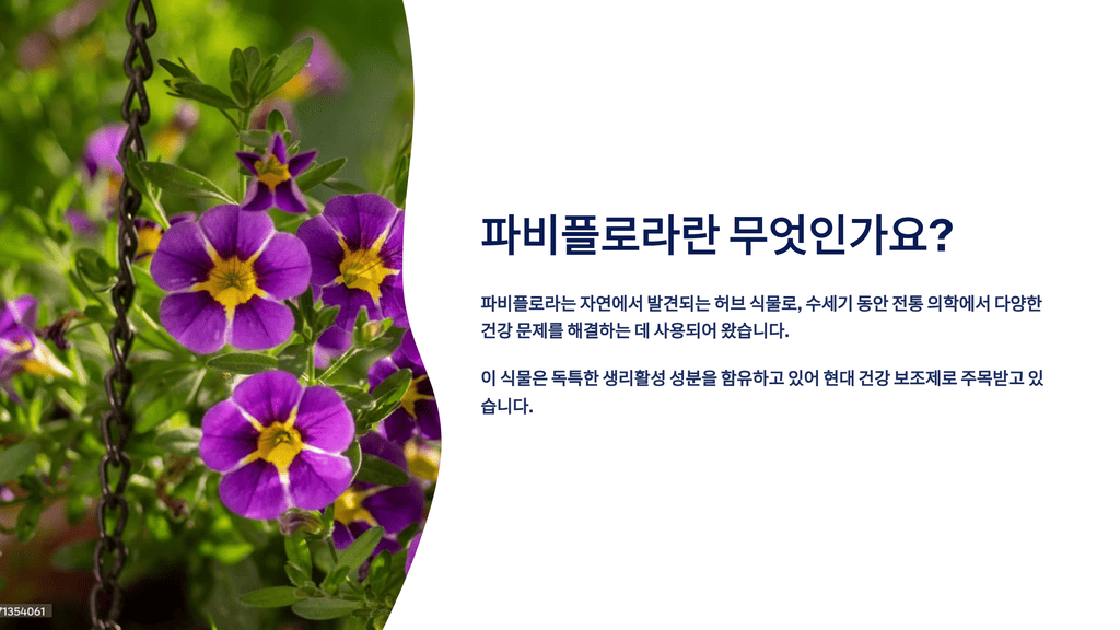 파비플로라란 무엇인가요?