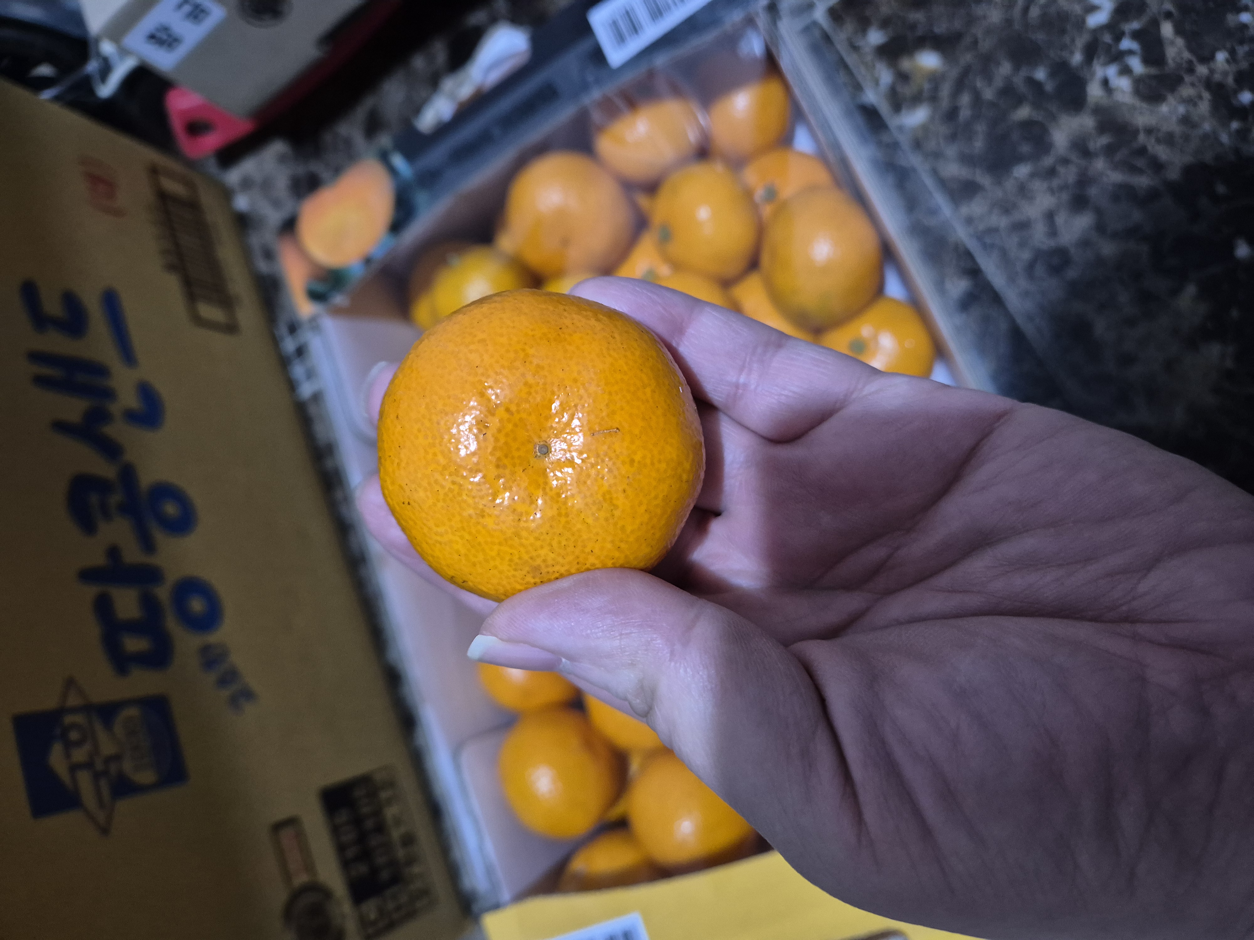 맛있는귤 귤림원 귤 뒷모양