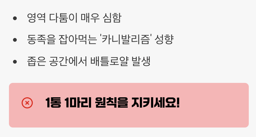 친구를 만들어 줄 때의 주의사항