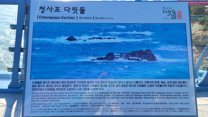 청사포 다릿돌 전망대 안내문