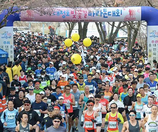 대청호 벚꽃길 마라톤대회 사진