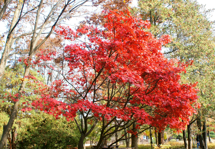 경기도 가볼만한곳 베스트 10