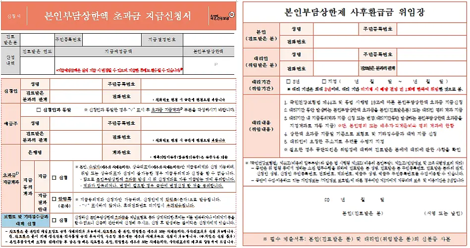 본인부담상한제-초과금-양식