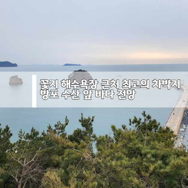 꽃지 해수욕장 근처 최고의 차박지- 방포 수산 앞 바다 전망 차박지