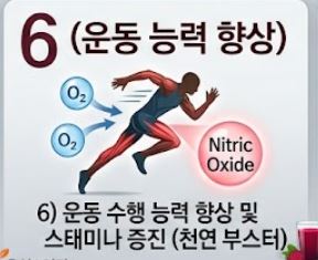 비트 효능
