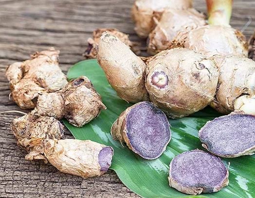 파비플로라-효능