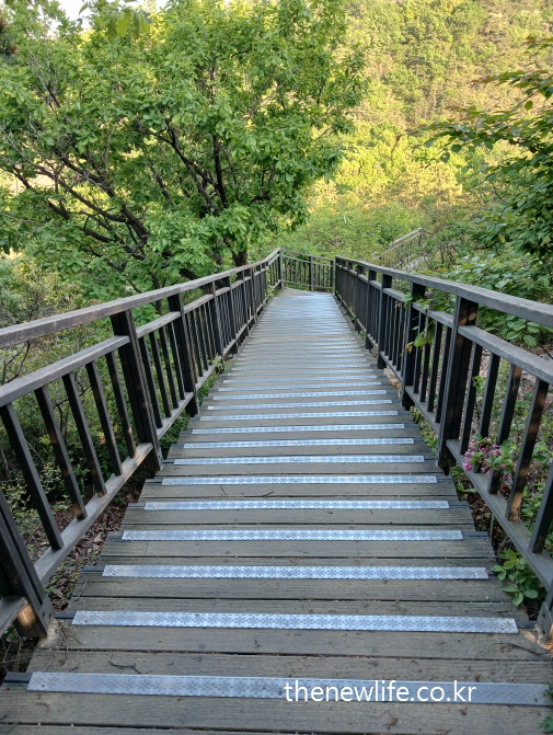 “Gently sloped outdoor stairs with handrails”- “손잡이가 설치된 완만한 숲속 계단 하강 구간”