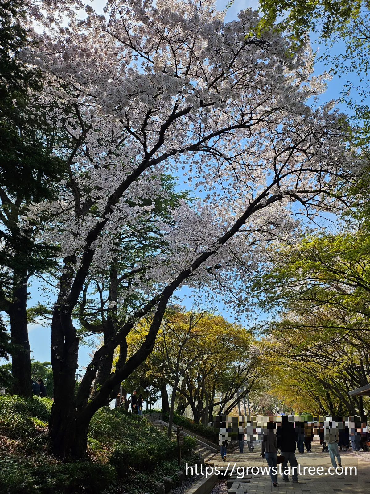 동인천 자유공원