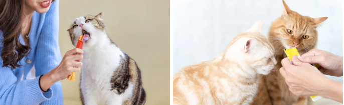 고양이 츄르추천