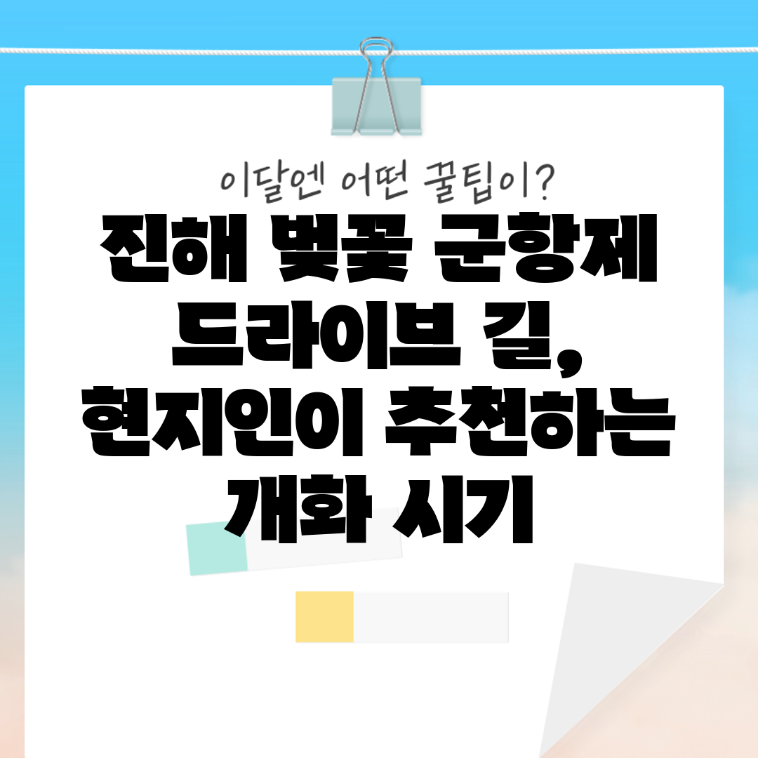 진해 벚꽃 군항제 드라이브 길, 현지인이 추천하는 개화
