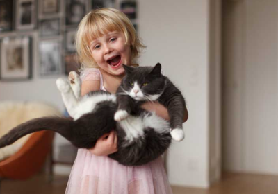 고양이 시니어의 이미지