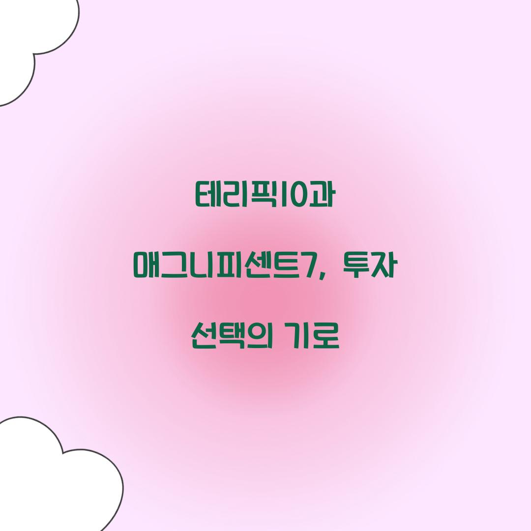 테리픽10