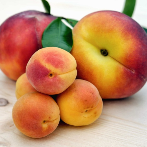 복숭아 한 바구니