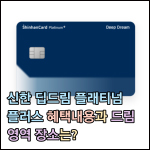 신한 딥드림 플래티넘 썸네일 이미지