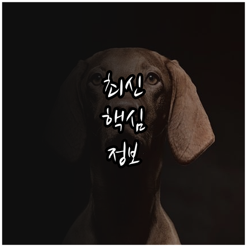 2025년 초중고 교육비 지원 지금 ..