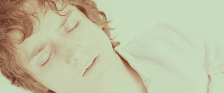 반지의 제왕 1: 반지 원정대