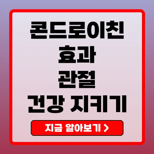 콘드로이친의 주요 효과와 제품 선택 가이드