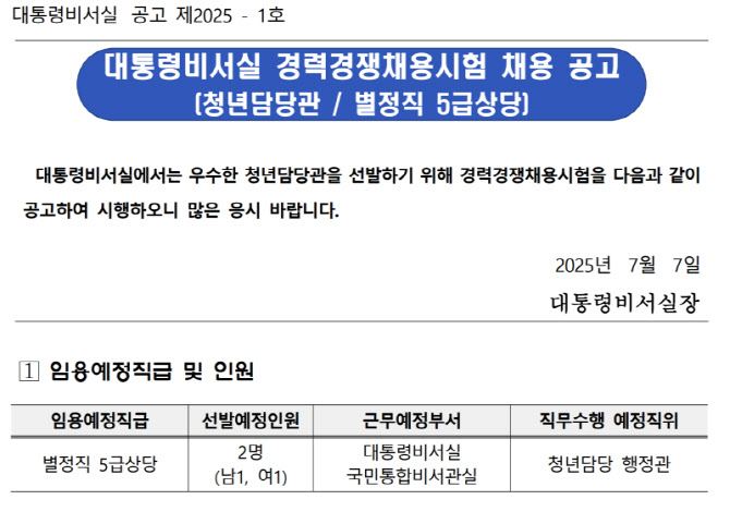 청년담당관 신설(채용정보, 제안서전략, 정책의미)