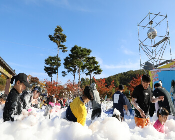 진안홍삼축제_4