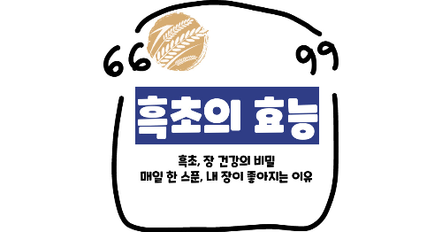 흑초 효능