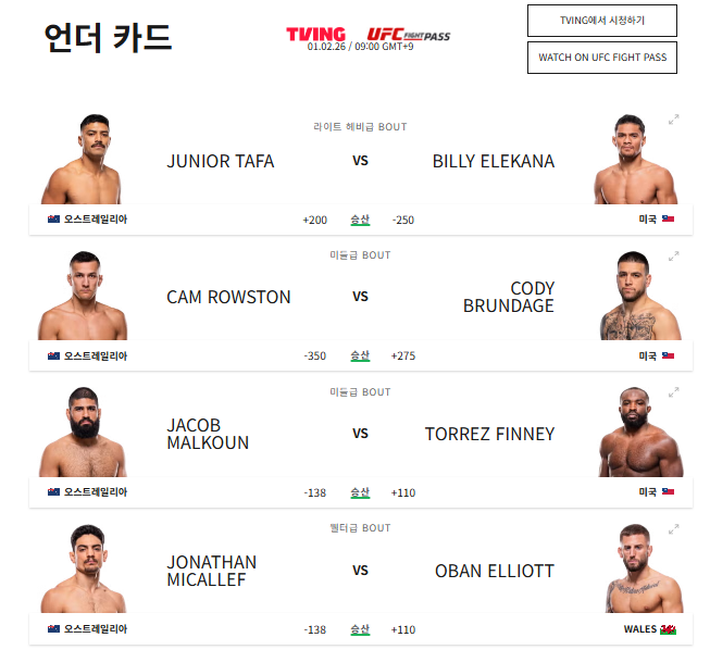 UFC 325