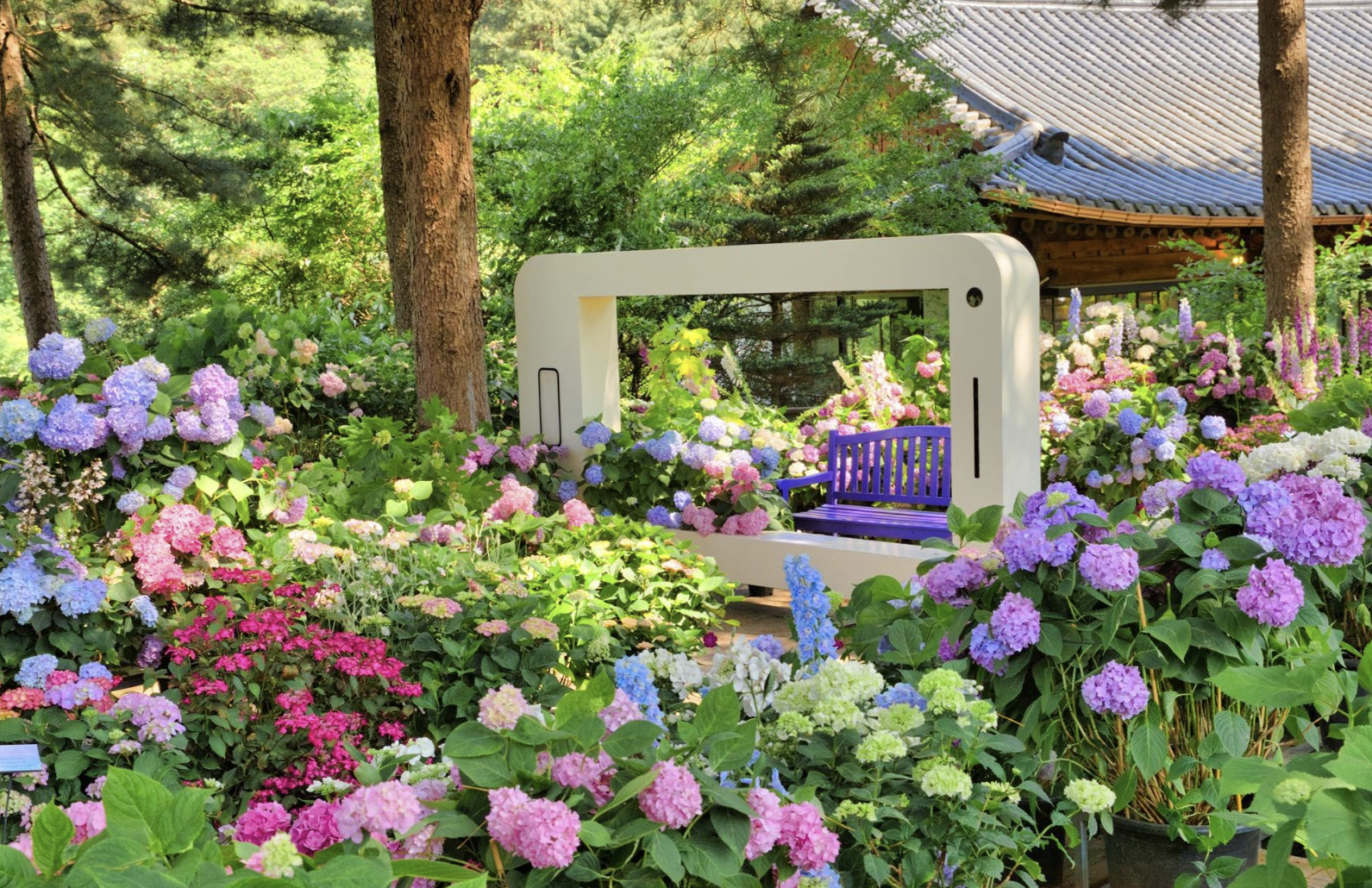 가평 아침고요수목원 수국축제 포토존