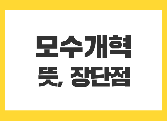 모수개혁-뜻-장단점
