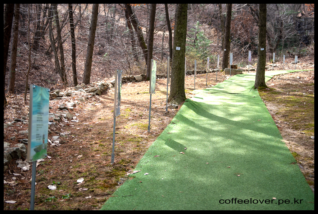 이천여행 아이와 가볼만한곳 덕평공룡수목원