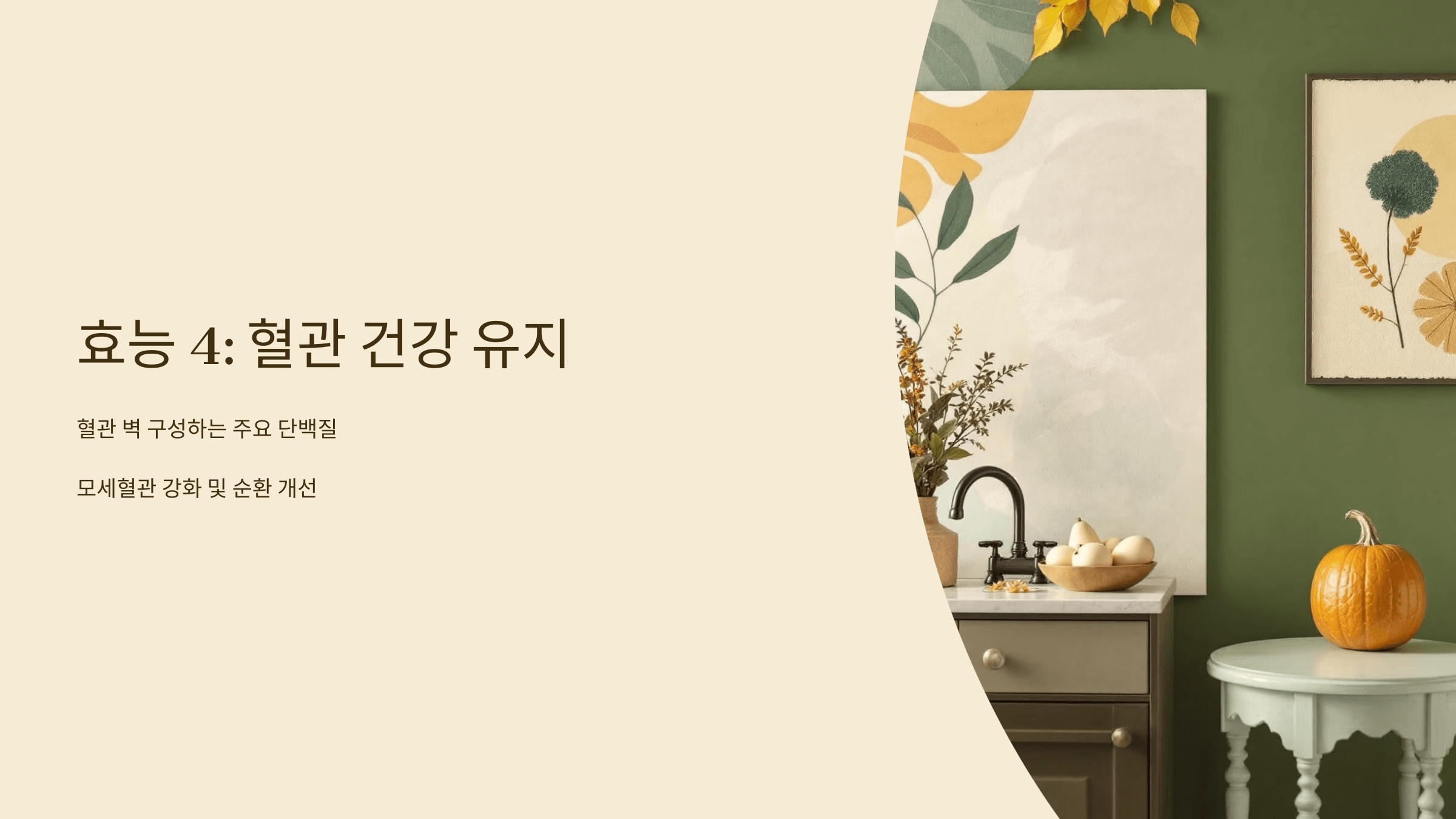 콜라겐 사진입니다.