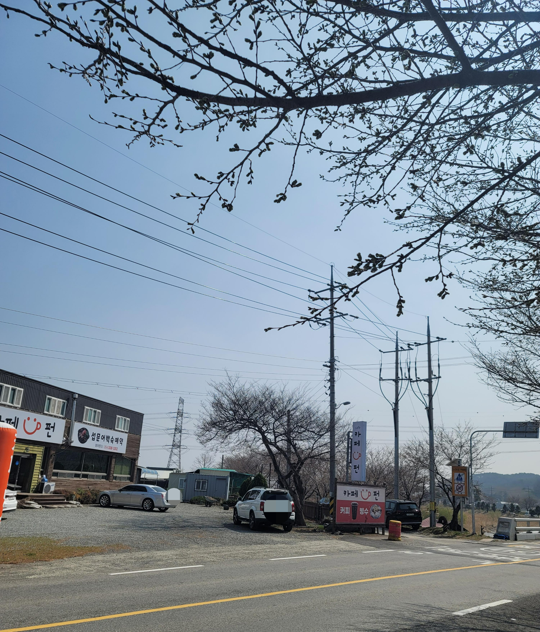 주차장 건너 벚꽃예쁜길