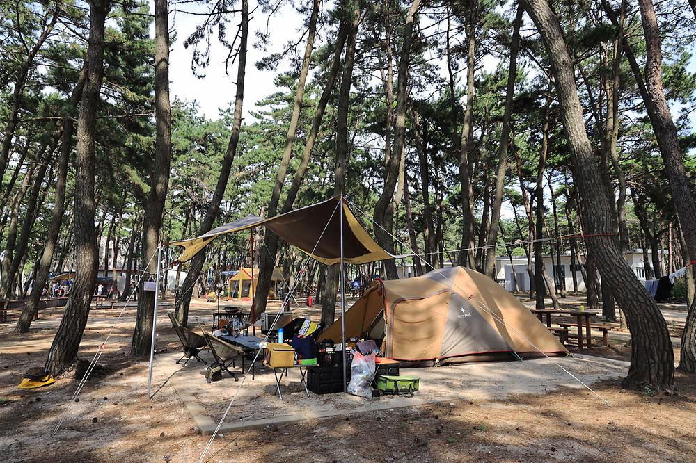 전라북도 변산반도국립공원 고사포 야영장 소개