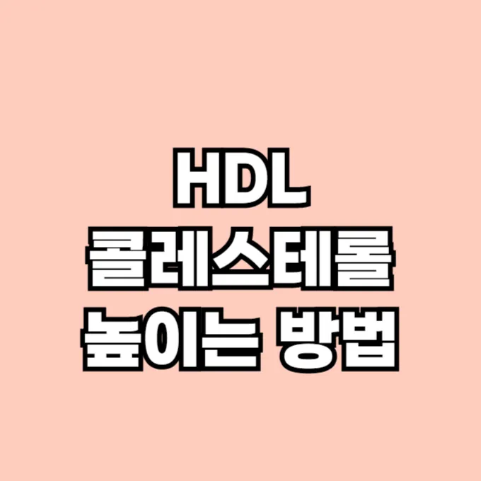 HDL 콜레스테롤 높이는 방법
