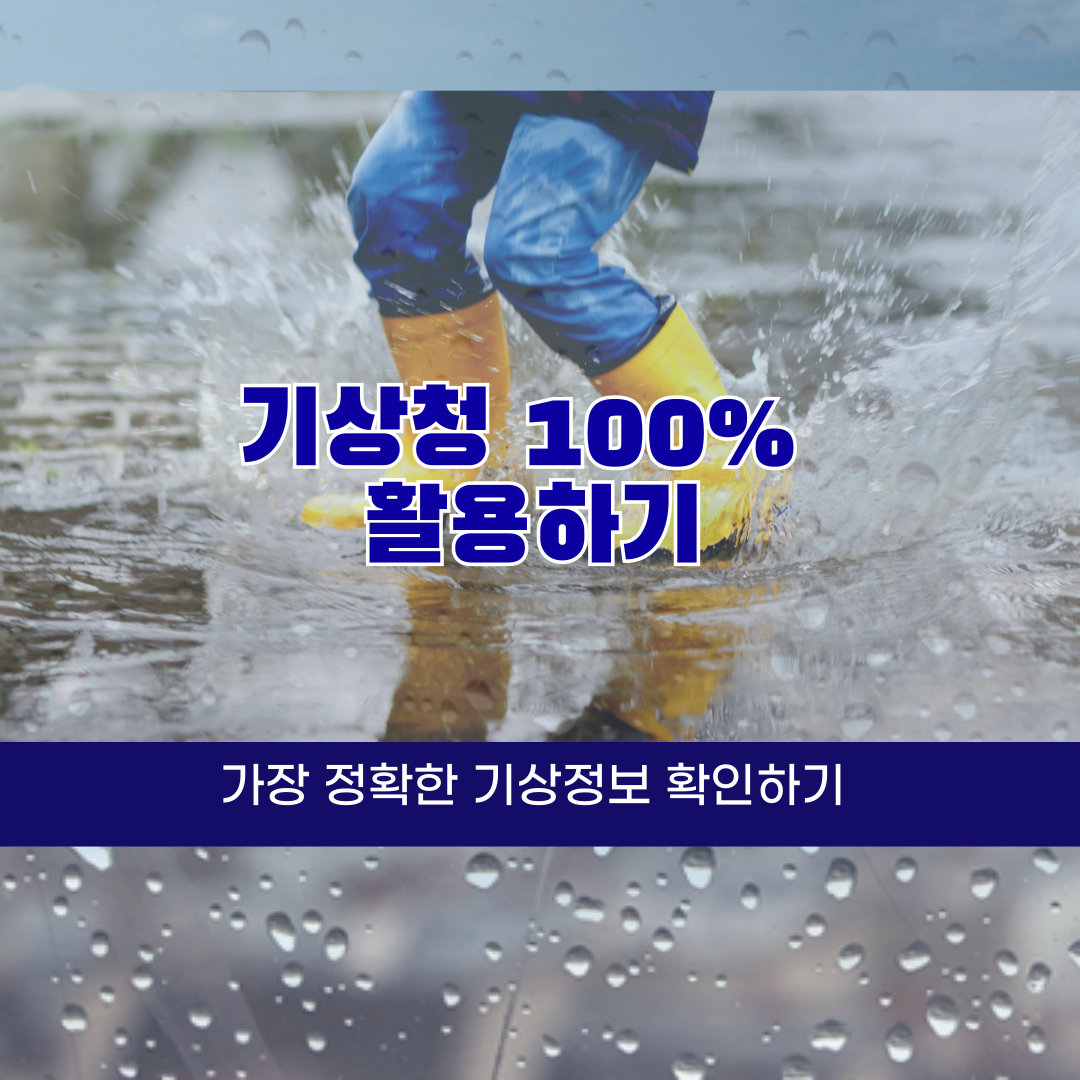 기상청 활용방법