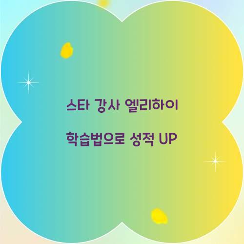 스타 강사 엘리하이 학습법