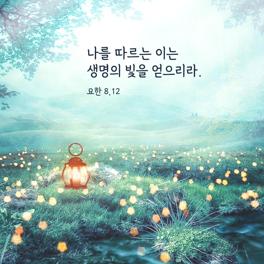 나를 따르는 이는 생명의 빛을 얻으리라. (요한 8&#44;12) 요한복음 성경 말씀 카드 이미지 다운로드