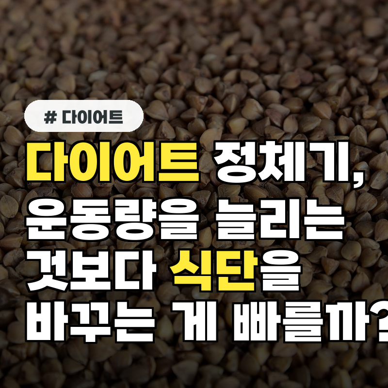 다이어트 정체기, 운동량을 늘리는 것보다 식단을 바꾸는 게 빠를까