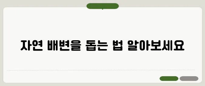 변비에 좋은 음식 자연스럽게 배변을 돕는 식품 추천