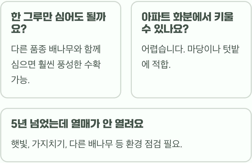 돌배나무, 심고 몇 년 기다려야 열매를 맛볼 수 있을까?