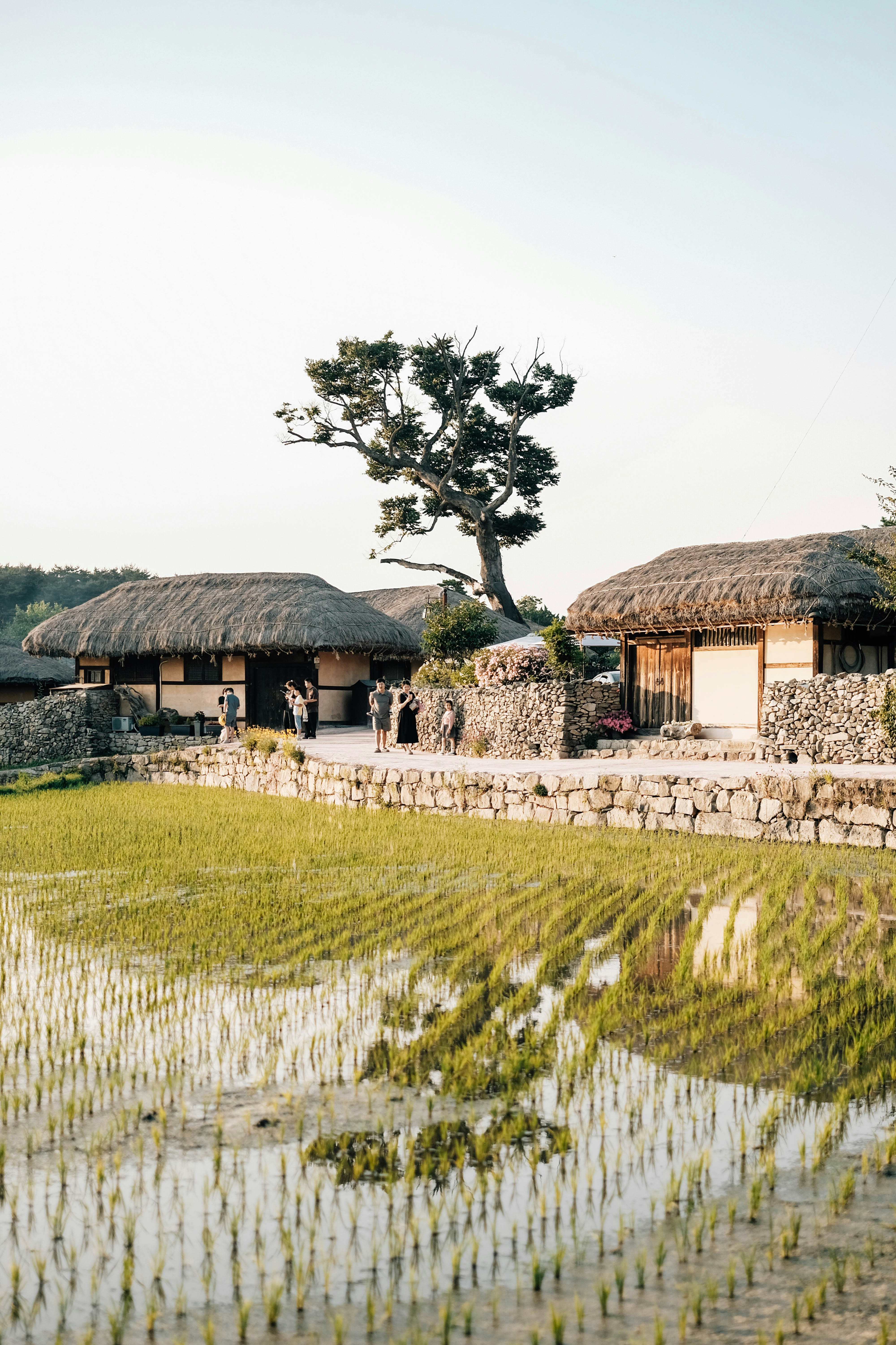 봉좌마을 주말 여행