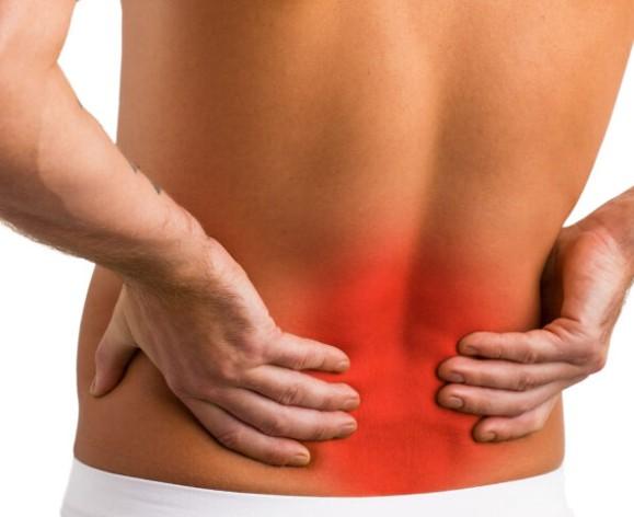 콘드로이친 효능 1200mg