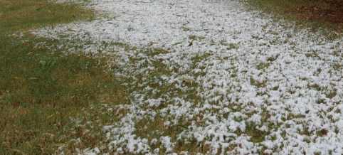 thin on the ground