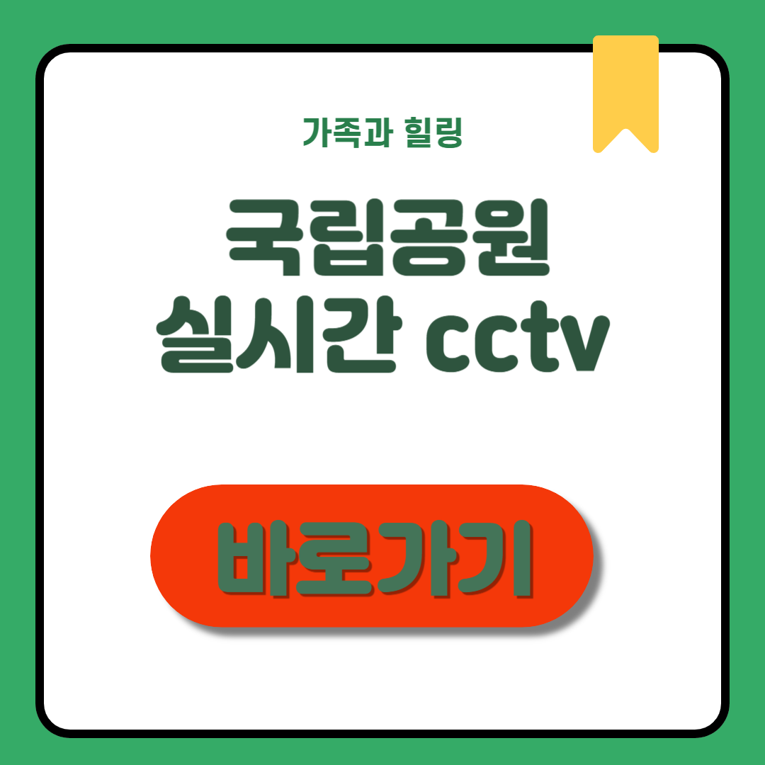 국립공원 실시간 CCTV 조회, 이 글로 종결