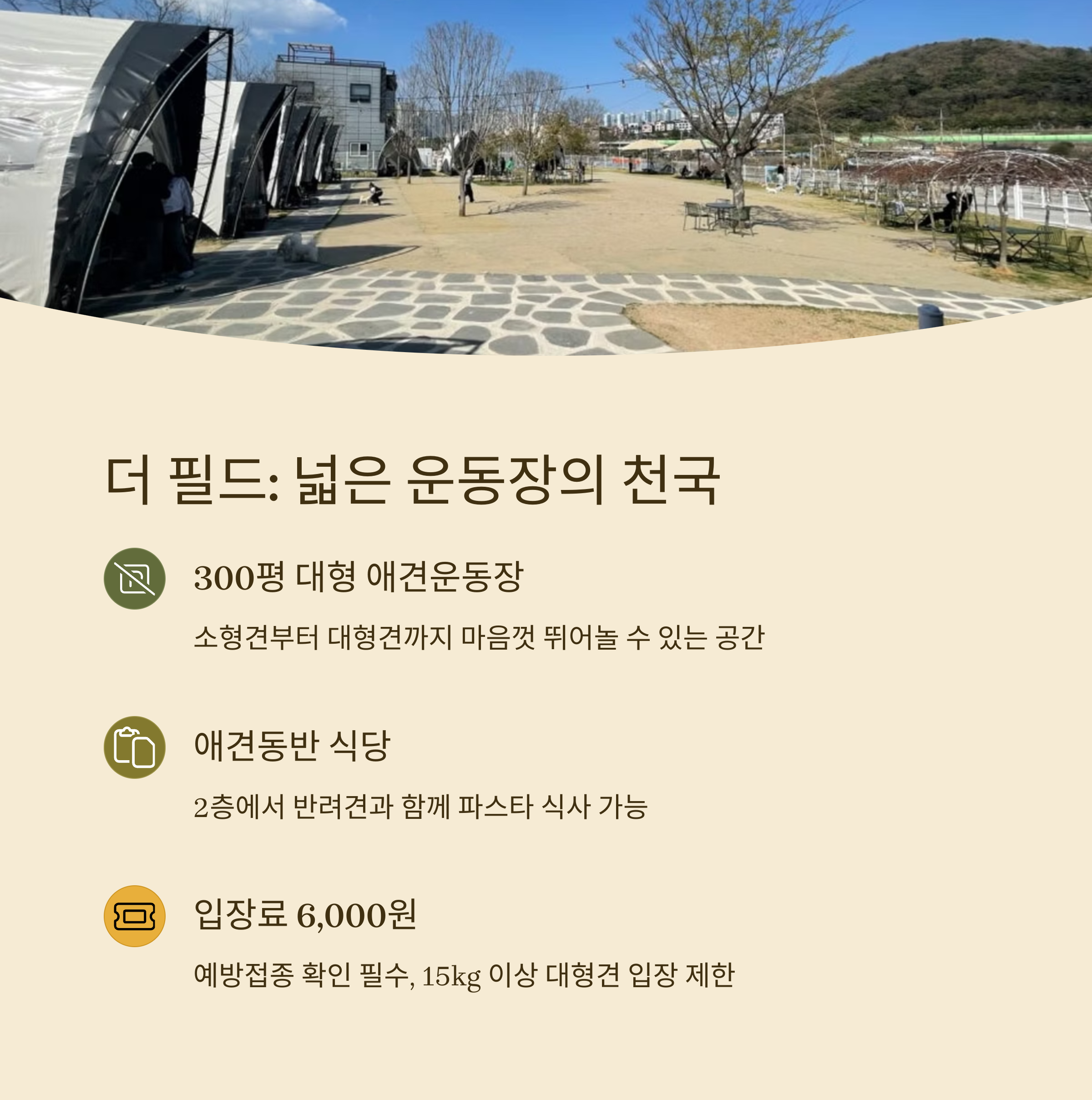 넓은 운동장의 더 필드