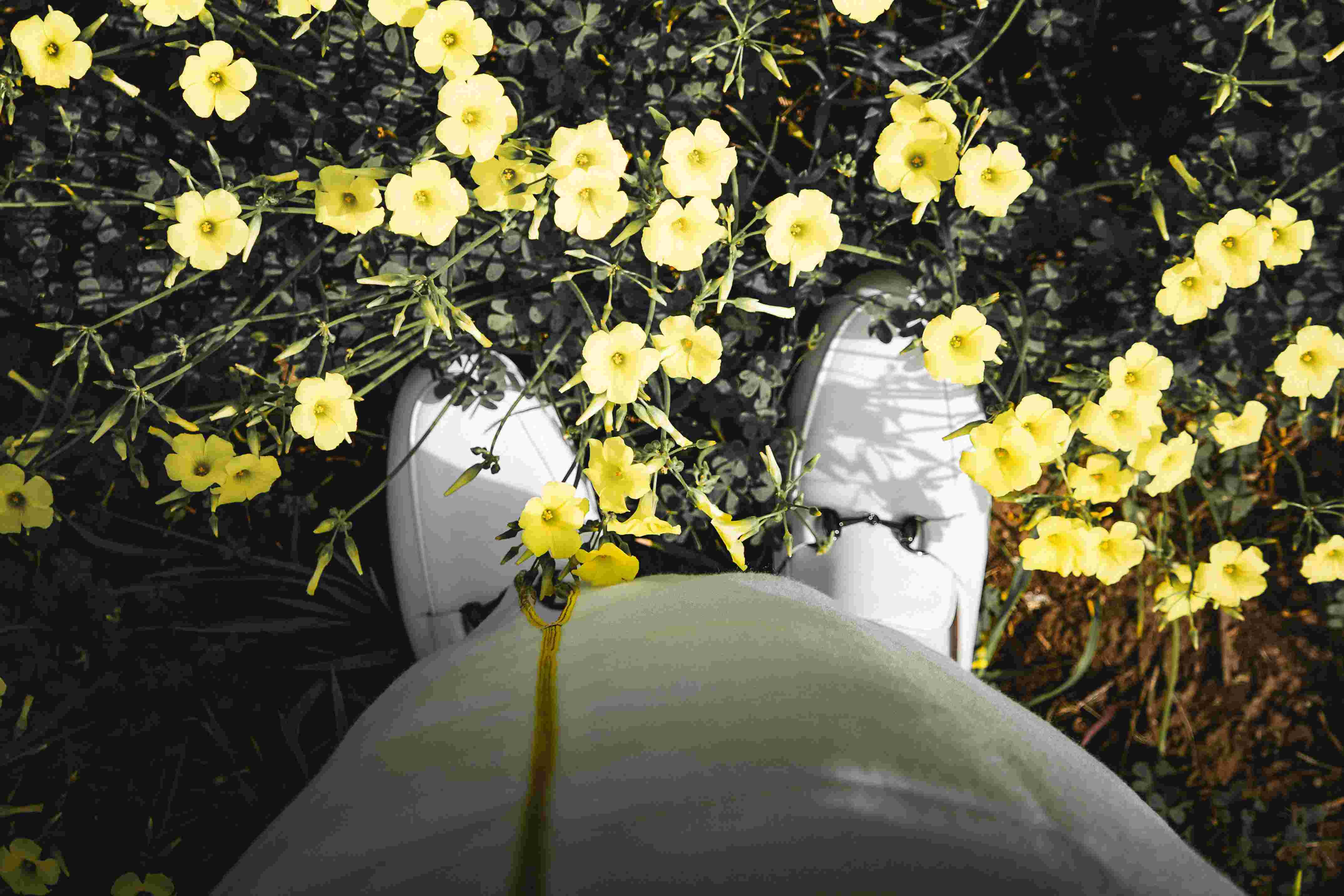 도시에서도 자연을 느끼다 – 어반 포레스트 라이프스타일 탐구