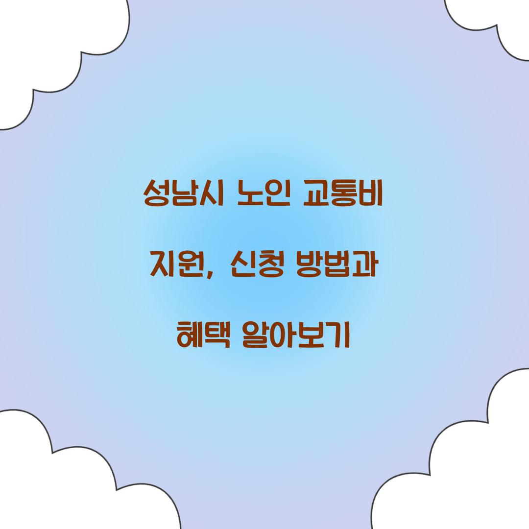 성남시 노인 교통비 지원