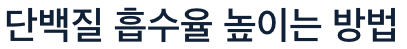 단백질 흡수 높이는 방법
