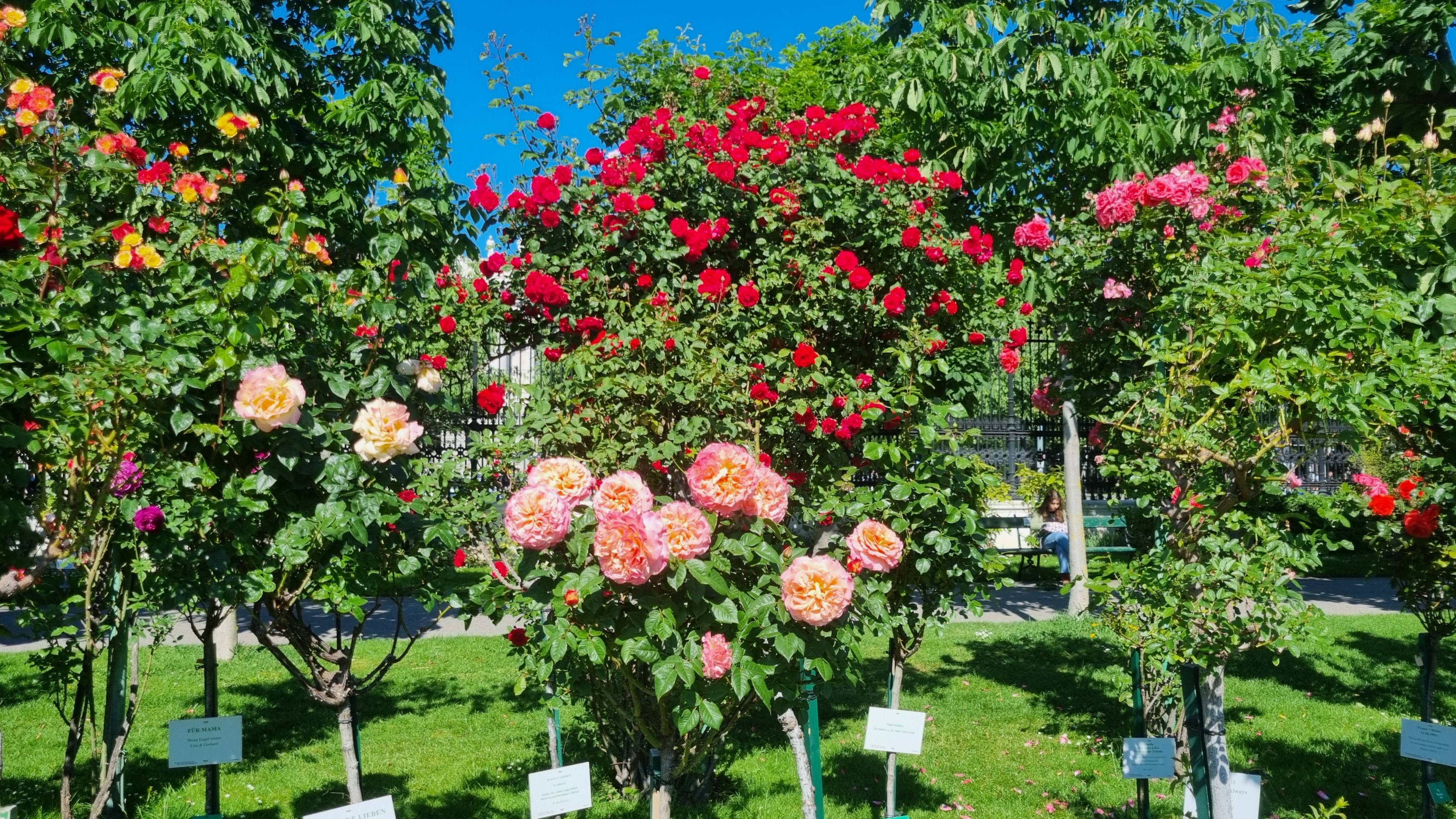 폴크스가르텐(Volksgarten)