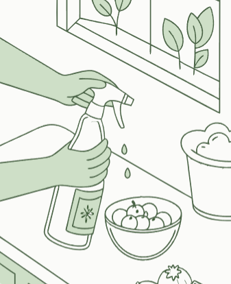 진딧물 천연 살충제 식초로 해결하는 완벽 가이드 3