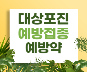 대상포진 예방접종, 대상포진 예방약에 대해 알아보겠습니다.