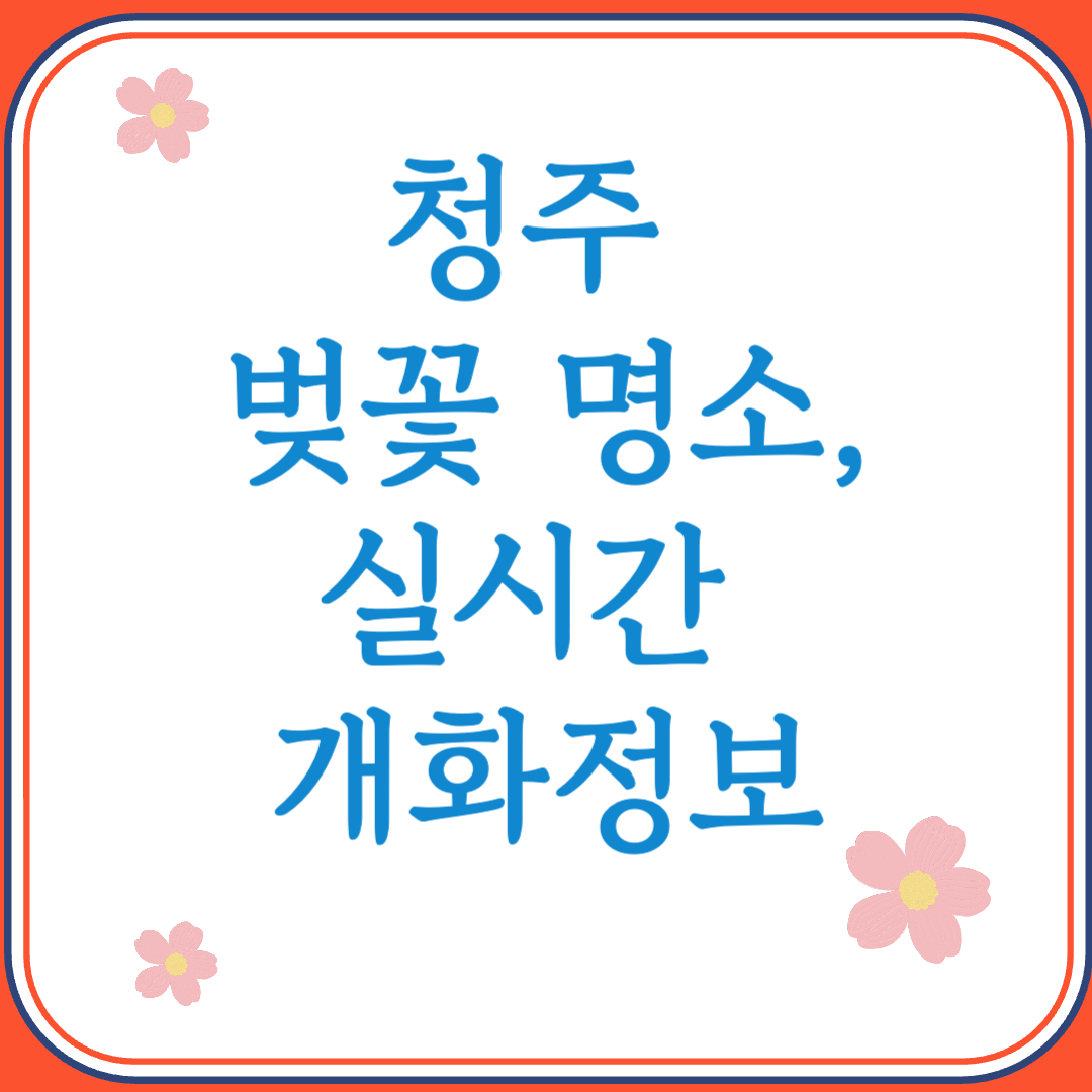 2025년 청주 벚꽃 명소 실시간 개화정보